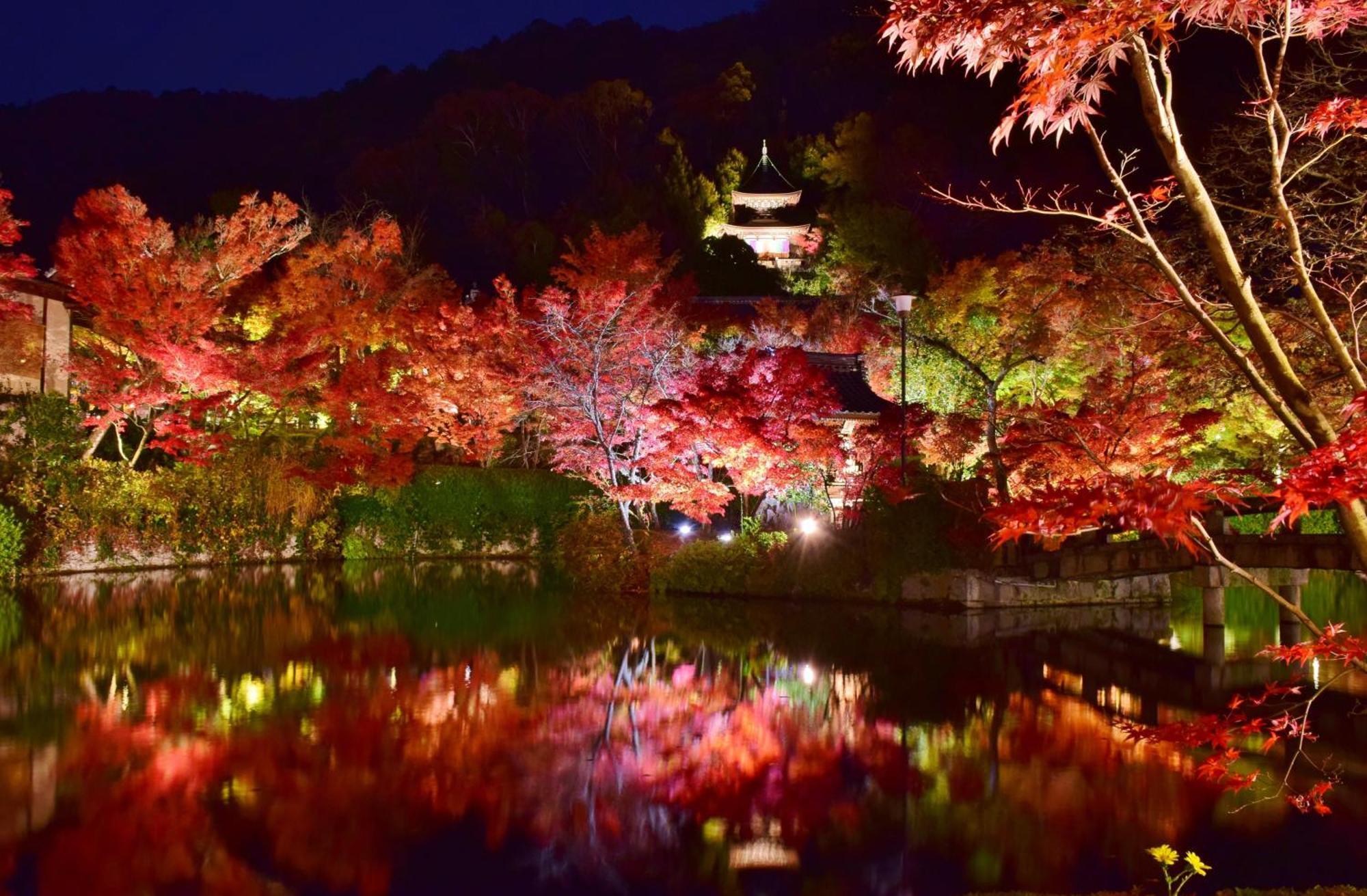 Kyoto Nanzenji Ryokan Yachiyo Established In 1915 Dış mekan fotoğraf